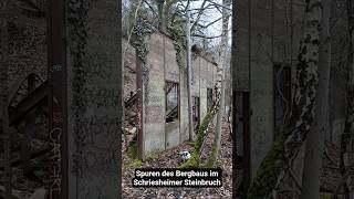 Mauerreste im Schriesheimer Steinbruch #lostplace #lostplacegermany #nature #forest #fypシ
