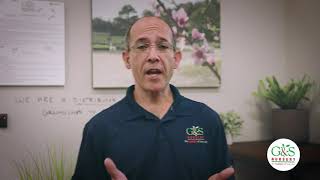 What is the difference between shrubs, bushes and hedges?