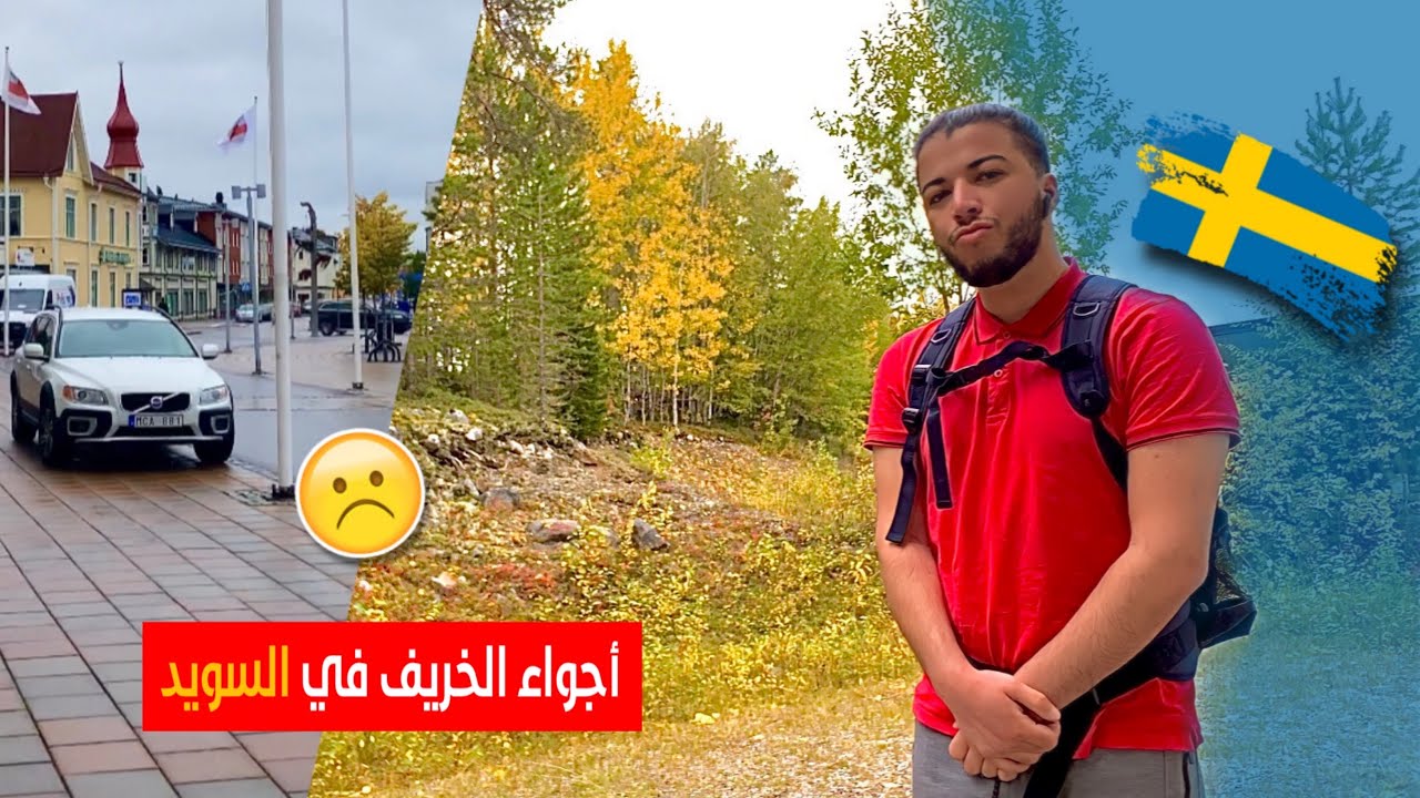 يوميات جزائري في السويد ( بلد غني و نظيف لكن تنحره الكآبة )