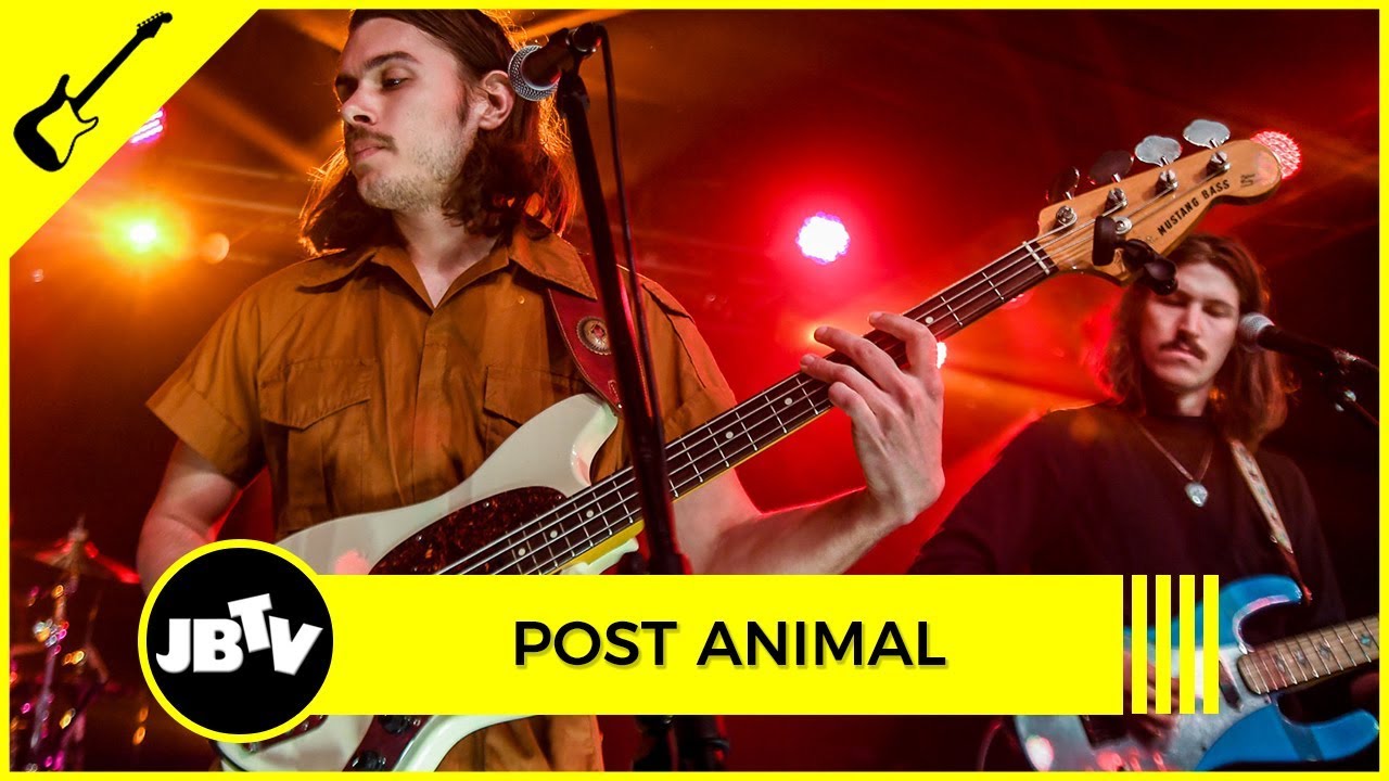 Post Animal - Tire Eyes | Live @ JBTV