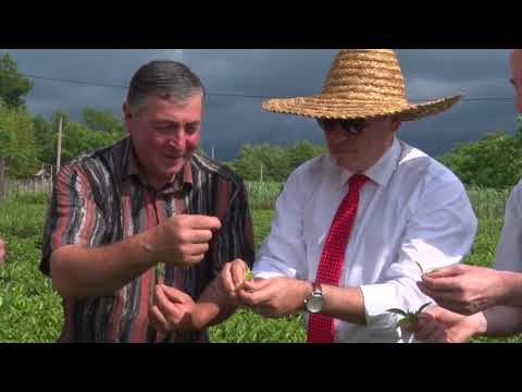 ისრაელის ელჩი ორი დღის მანძილზე გურიის რეგიონს სტუმრობდა