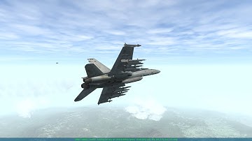 BMS - F/A-18C & F-15C-AGR - Air-Air Hop