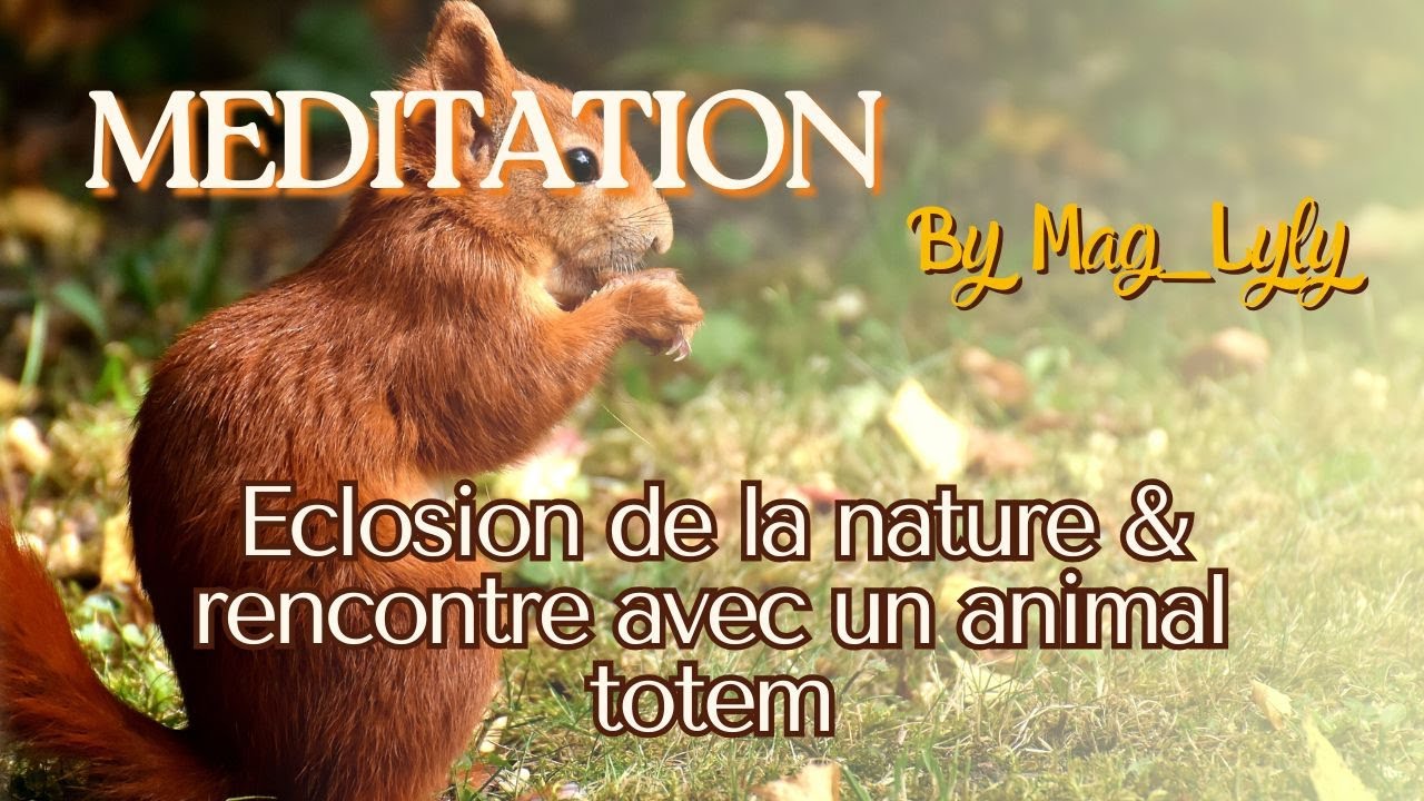 Ta méditation : Eclosion de la nature & rencontre avec un animal totem