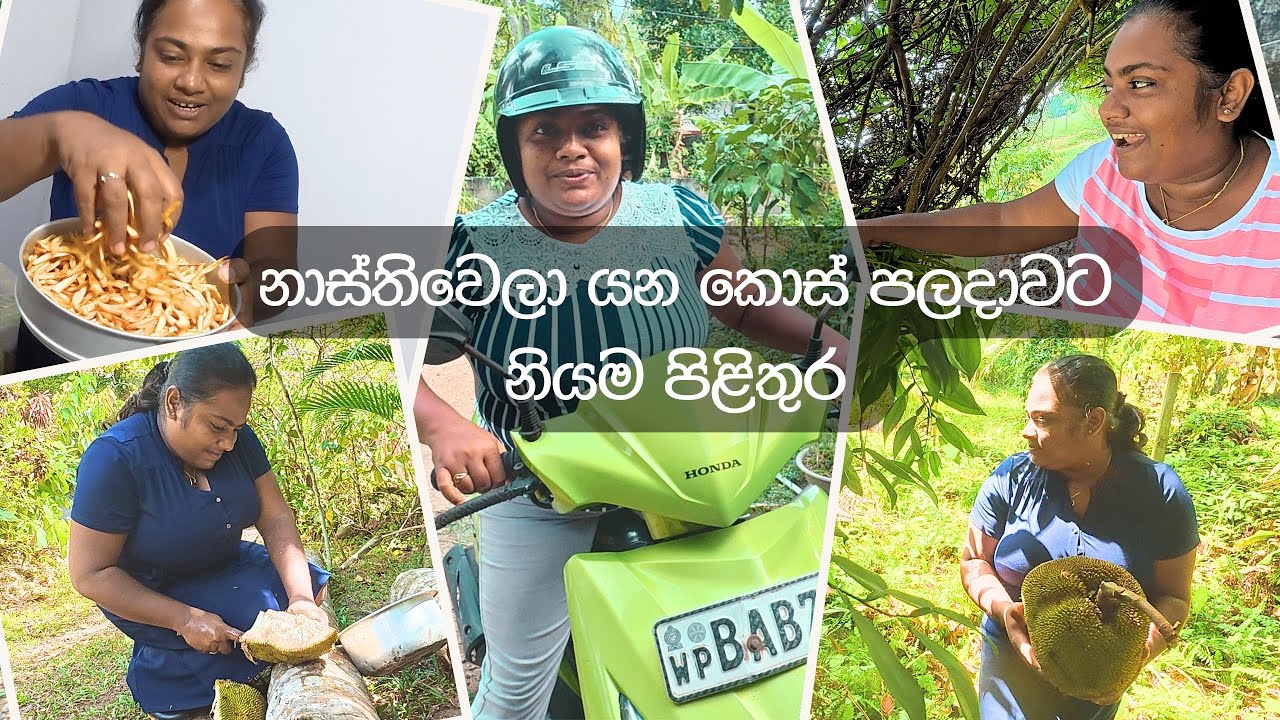 කොස් කාල ගම වටේ රවුමක් යමුද මාත් එක්ක - VeggieMaster
