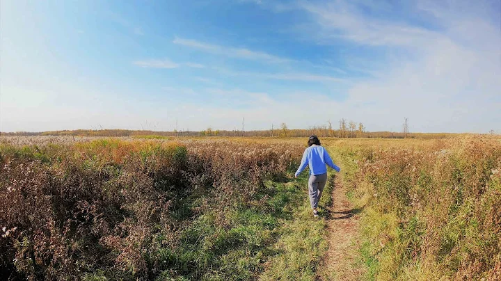 Beautiful Fall in Edmonton |Hiking in Elk Island National Park  (Tawayik Lake Trail) |BisonAdventure