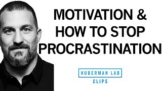 How To Stop Procrastination Increase Motivation Dr Andrew Huberman