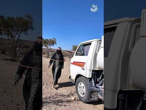 البدوية بنت ترند