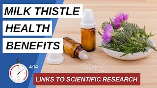 7 HEALTH BENEFITS OF MILK THISTLE ( Links to scientific research included )