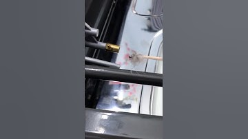 Xử Lý Triệt Để Bếp Gas Đỏ Lửa, Đen Nồi! Bằng Cách Vệ Sinh Bét Gas #vesinhbetgas #betgas #dolua #lua