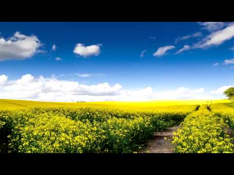 Emiliana Torrini - Sunny Road (Dave Webber Bootleg)