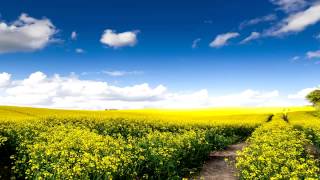 Emiliana Torrini - Sunny Road (Dave Webber Bootleg)