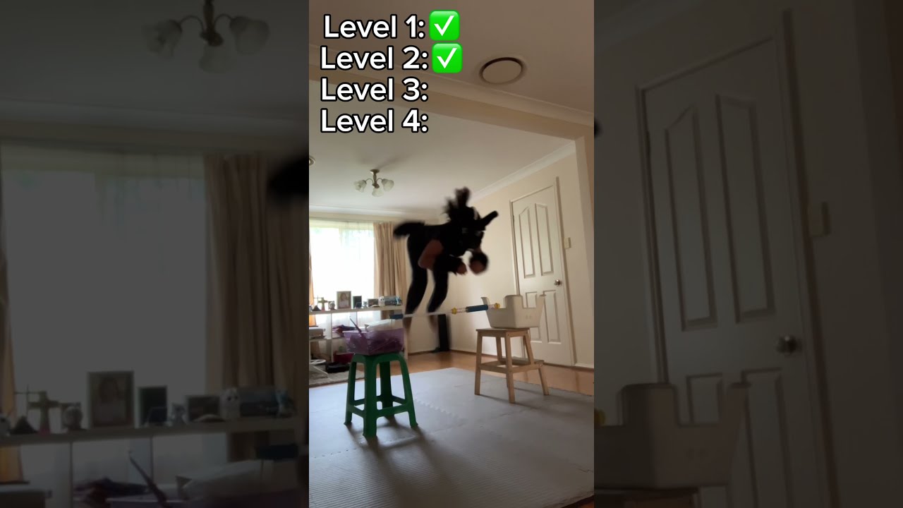 Quad Jumps Therian Quadrobics Furry Quads Workout