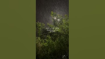 { قال رب اشرح لي صدري ويسر لي أمري} #شريف_مصطفى #سورة_طه #القرآن_الكريم