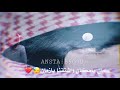 وامسيت تايه على ماطاك تصميمي وامسيت تايه على ماطاك تصميمي