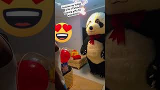 Download Lagu I Suprise My Hubby with Panda bearing gifts for valentine #valentine #valentinesday #lovers #panda MP3