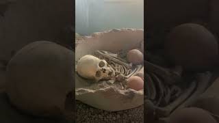 #2025 #antalya #museum #wooww