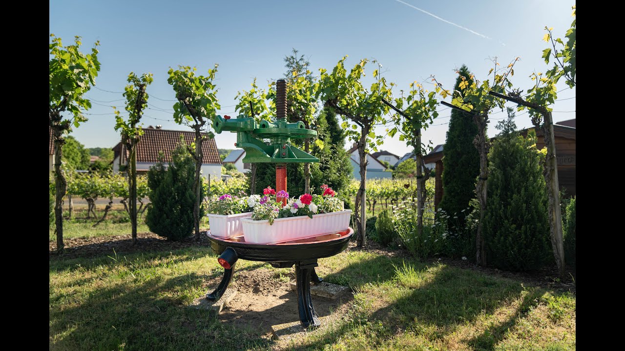 Summerie Aktuell - Mai 2023 - Spatenstich am „Quartier Winzerstraße“🏗️