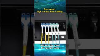 Data center high density fiber cabling! Fiber Copper High Density Cabling Solution For Data Centers