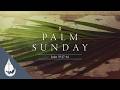 "A Time to Weep" (Luke 19:37-44) - Terry Smith