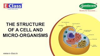 Sundaram Eclass Science concepts: THE STRUCTURE OF A CELL AND MICRO-ORGANISMS