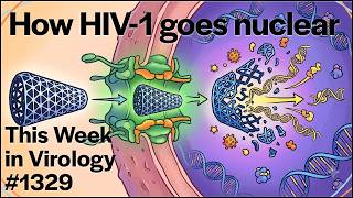 TWiV 1329: How HIV-1 goes nuclear