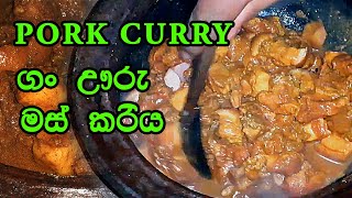 Village Style Pork Curry | Easy Pork Curry Recipe for Beginners | Cook Like a Pro | cooking