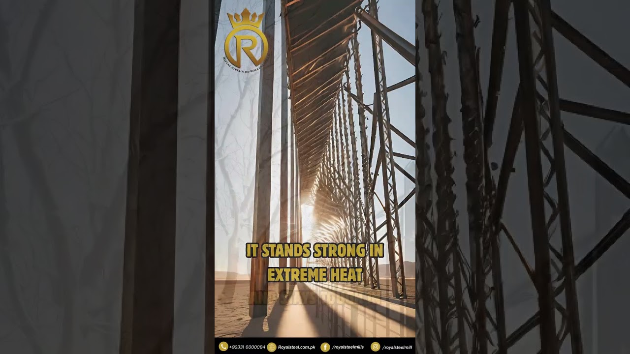 From arrival to rest, we ensure a journey of comfort and serenity.