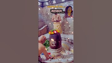 जयकारा महाकाल का🌿💫 Mahakal status 💫💙 Mahadev status ♥️💫 Bholenath Status 💫💜 #tending #shiv #shorts