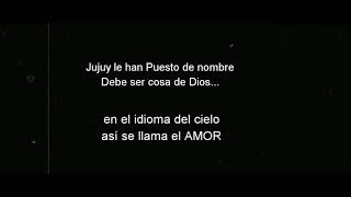 Jujuy te espera 2019 - imágenes aéreas Condor Jujuy drone