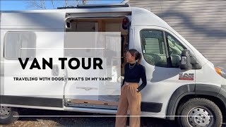 van tour: traveling with 3 dogs in a promaster conversion