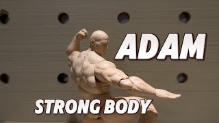[TOY REVIEW] ADAM TOYS 1/12 STRONG BODY