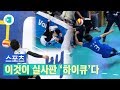 하이큐 뺨치는 남자 프로배구 허슬 플레이 모음 / 스포츠머그