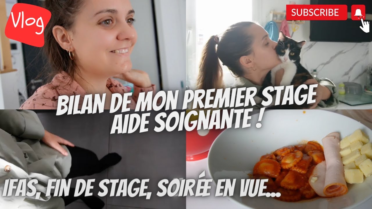 Exemple Bilan Mi-Stage Aide-Soignant - Laurent Guide Complet et