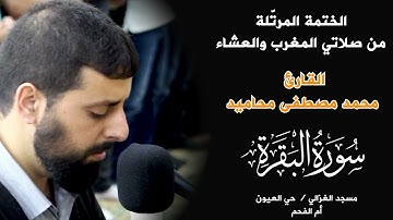 سورة البقرة كاملة رقية للبيت وعلاج للسحر تلاوة تريح القلب وتشرح الصدر- محمد محاميد Sourate Al-Baqara