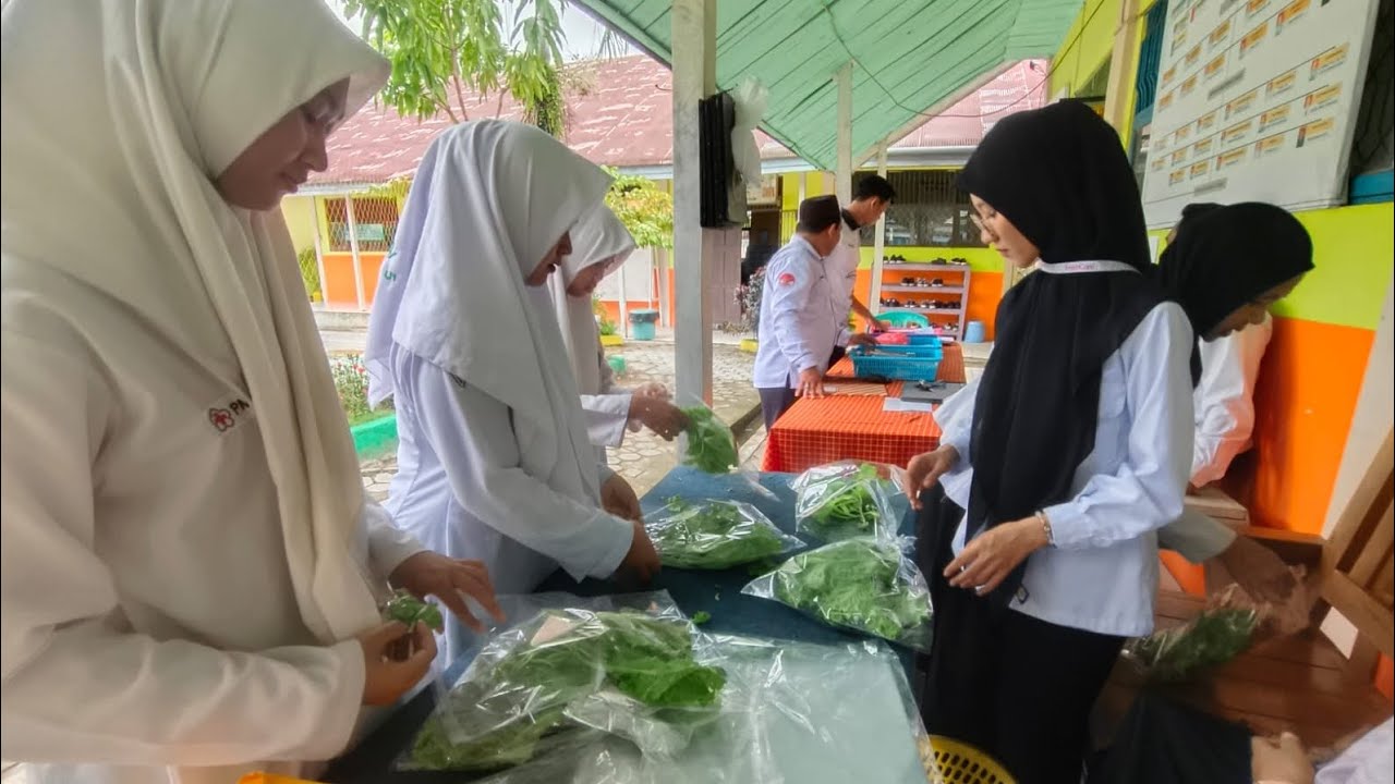 Dari Benih ke Panen: Sukses Program Hidroponik MTsN 5 Tapin