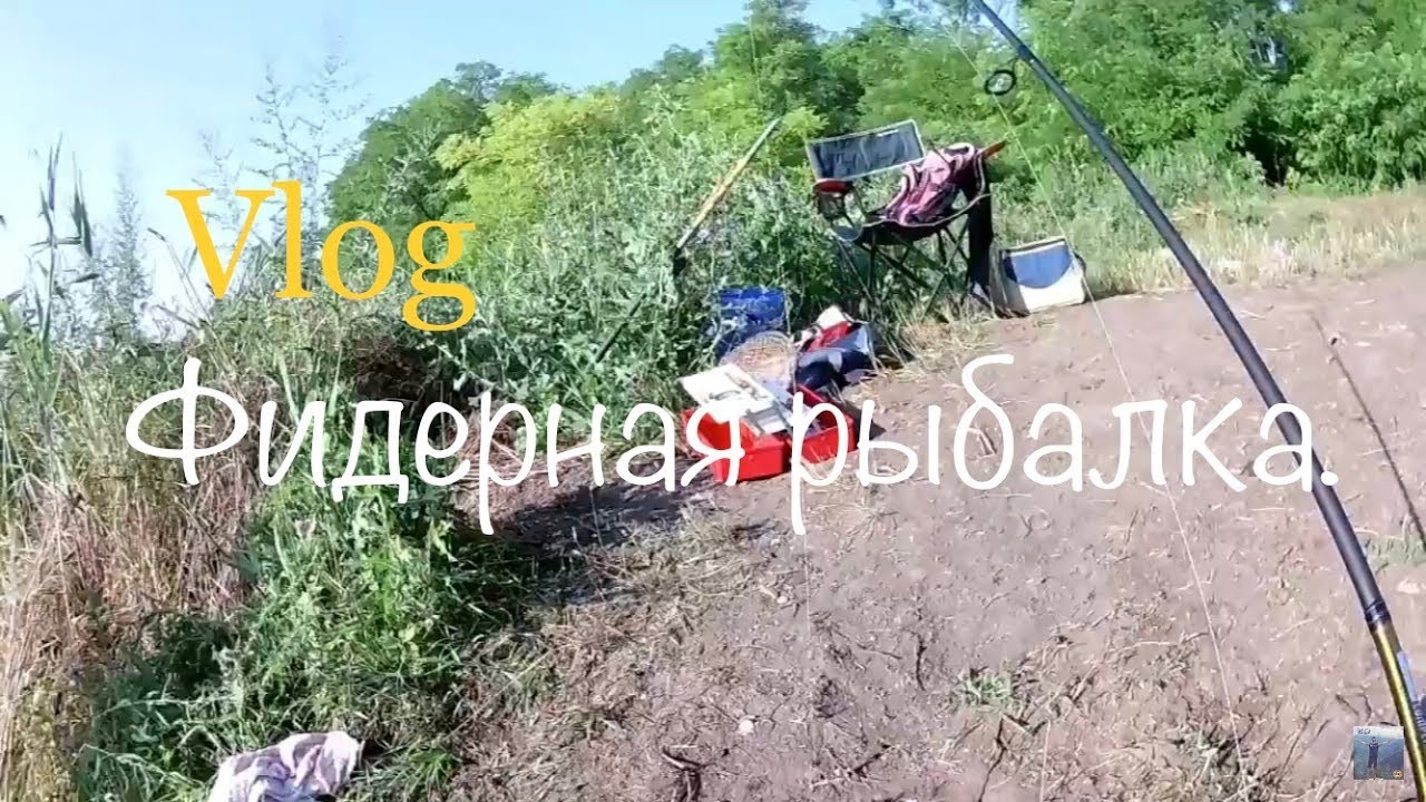 Спиннинг микадо лексус