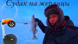 Судак на новые Жерлицы! Рыбалка на судака!! Вячка! Рыбалка в Казахстане