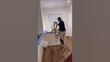 Huge Carpet Python Pulled Out of Tissue Box