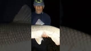 Usac, Şirvank, Göyçay, Yem Ağ Çörək