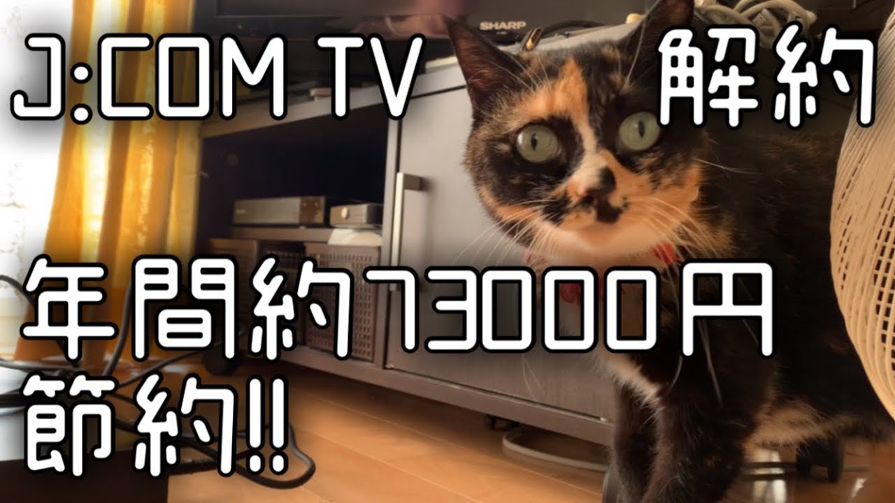 【片付け】J:COM TV解約で年間73128円の節約【脱汚部屋】
