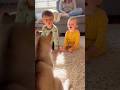 【奇跡】赤ちゃん兄妹とハスキー🐺👶遠吠えで通じ合う絆が尊い💕 [Miracle Moment] Baby Siblings & Husky Bond Through Howling