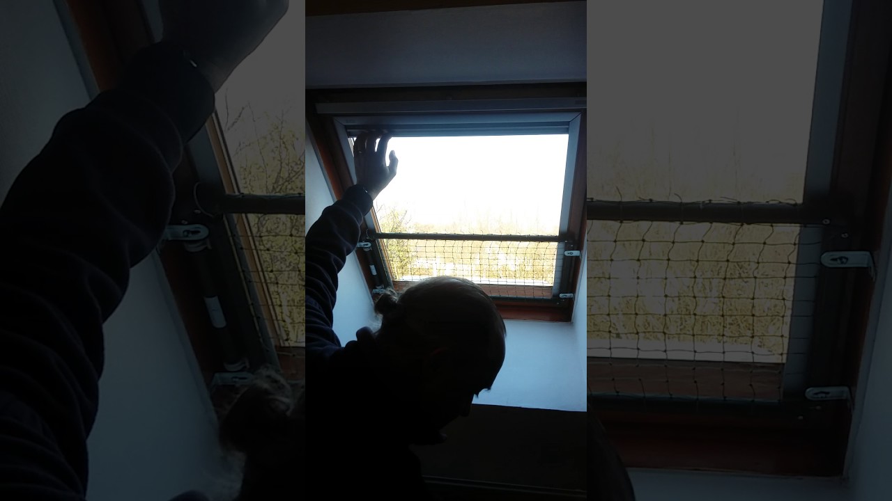 Securisation Velux Pour Chats Protection Pour Chats Bruno 06 80 12 03 76 Youtube Securisation Velux Pour Chats Protection Pour Chats Bruno 06 80 12 03 76 Youtube
