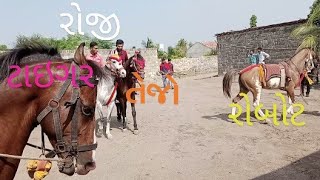 #watch_last_scane #fuleku #kathiyavadi_horse_fuleku #horse_of_india