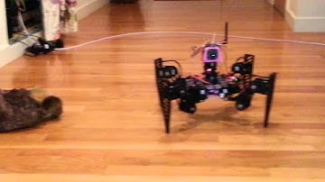 Onyx6 Quadruped Robot Walking with Camera 2013 11 10