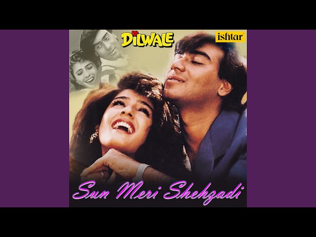 Sun Meri Shehzadi (From Dilwale) class=