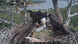 June 6th at Jackie and Shadow's nest 2026  @FOBBVCAM