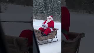 Santas Boar Sleigh Fail Caught On Camera