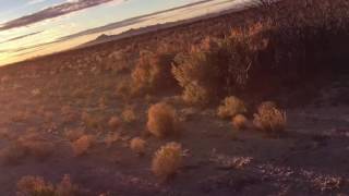 IMG 4772