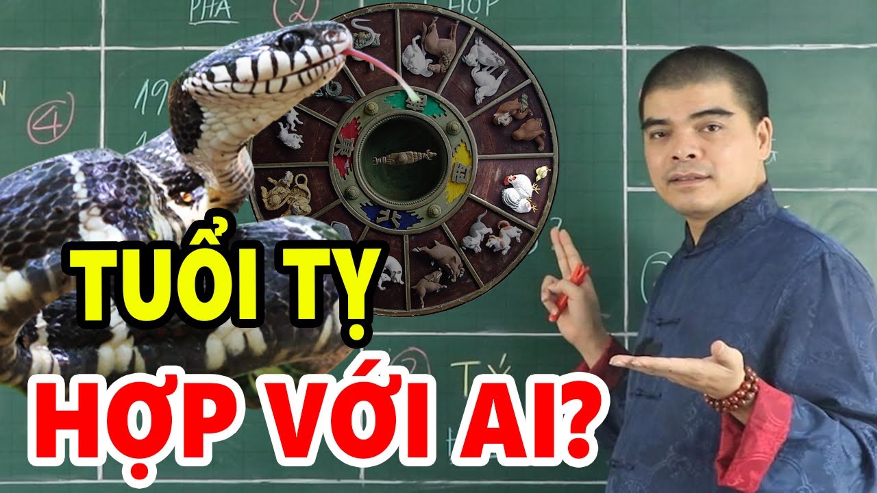 Tuổi Tỵ (tuổi con Rắn) hợp với ai KẾT HỢP LÀM ĂN - KẾT HÔN - SINH CON hợp tuổi nào? Kỵ tuổi nào?