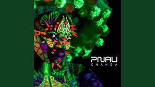 Changa - Jack Beats Remix